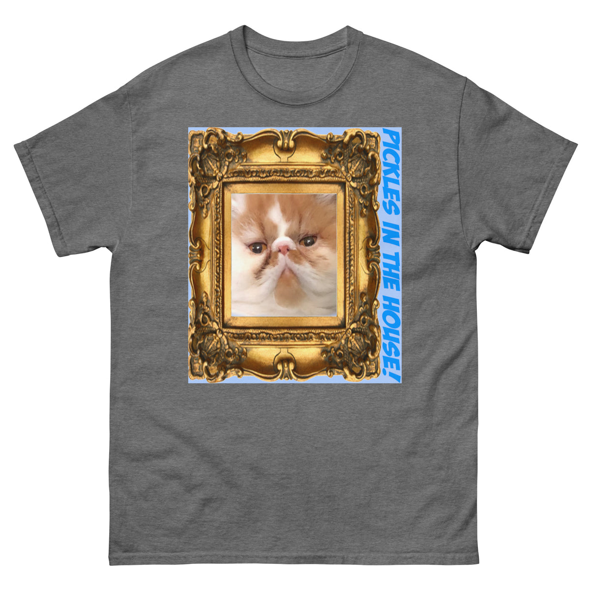 Pickles in the House Framed v1 unisex classic tee in graphite heather
